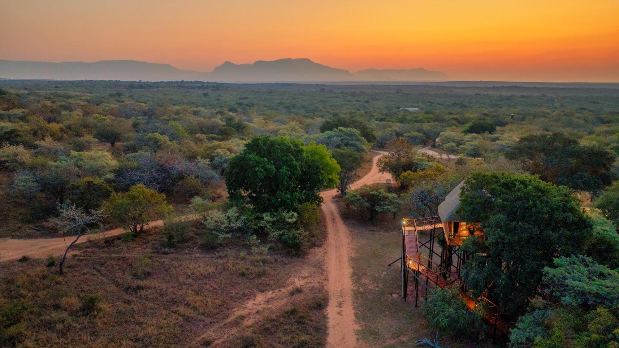 Pezulu Tree House Lodge Hoedspruit Exteriör bild