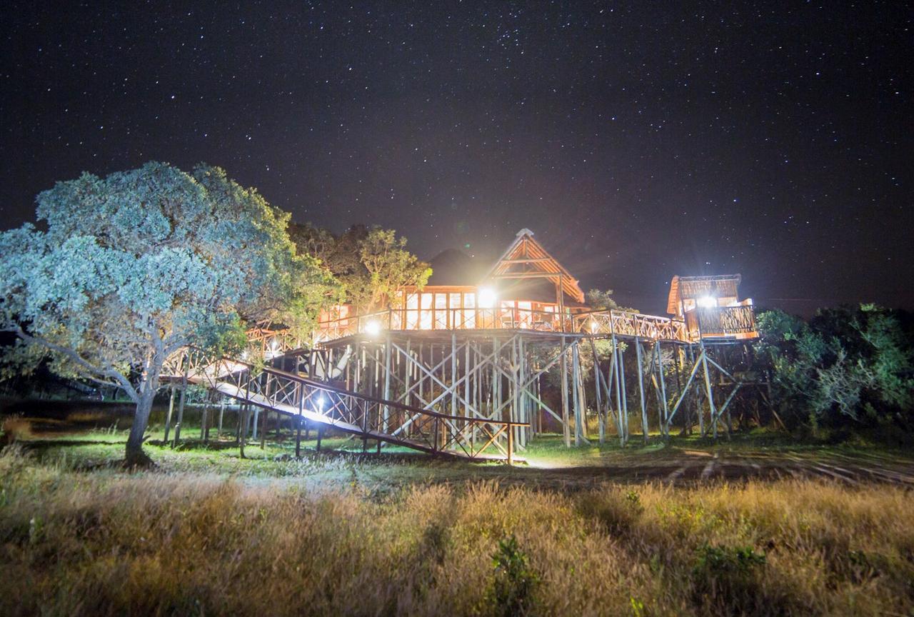 Pezulu Tree House Lodge Hoedspruit Exteriör bild