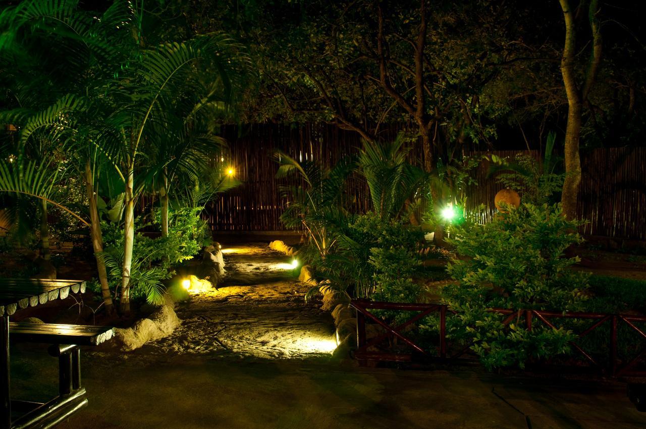 Pezulu Tree House Lodge Hoedspruit Exteriör bild
