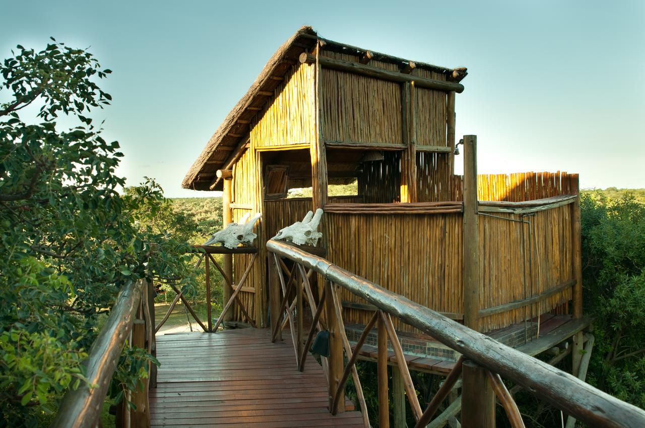Pezulu Tree House Lodge Hoedspruit Exteriör bild