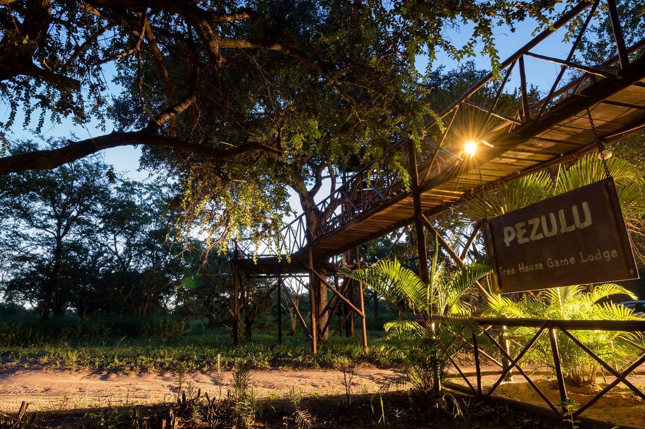 Pezulu Tree House Lodge Hoedspruit Exteriör bild