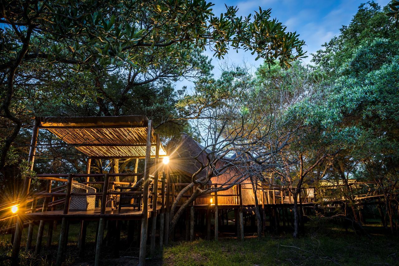 Pezulu Tree House Lodge Hoedspruit Exteriör bild