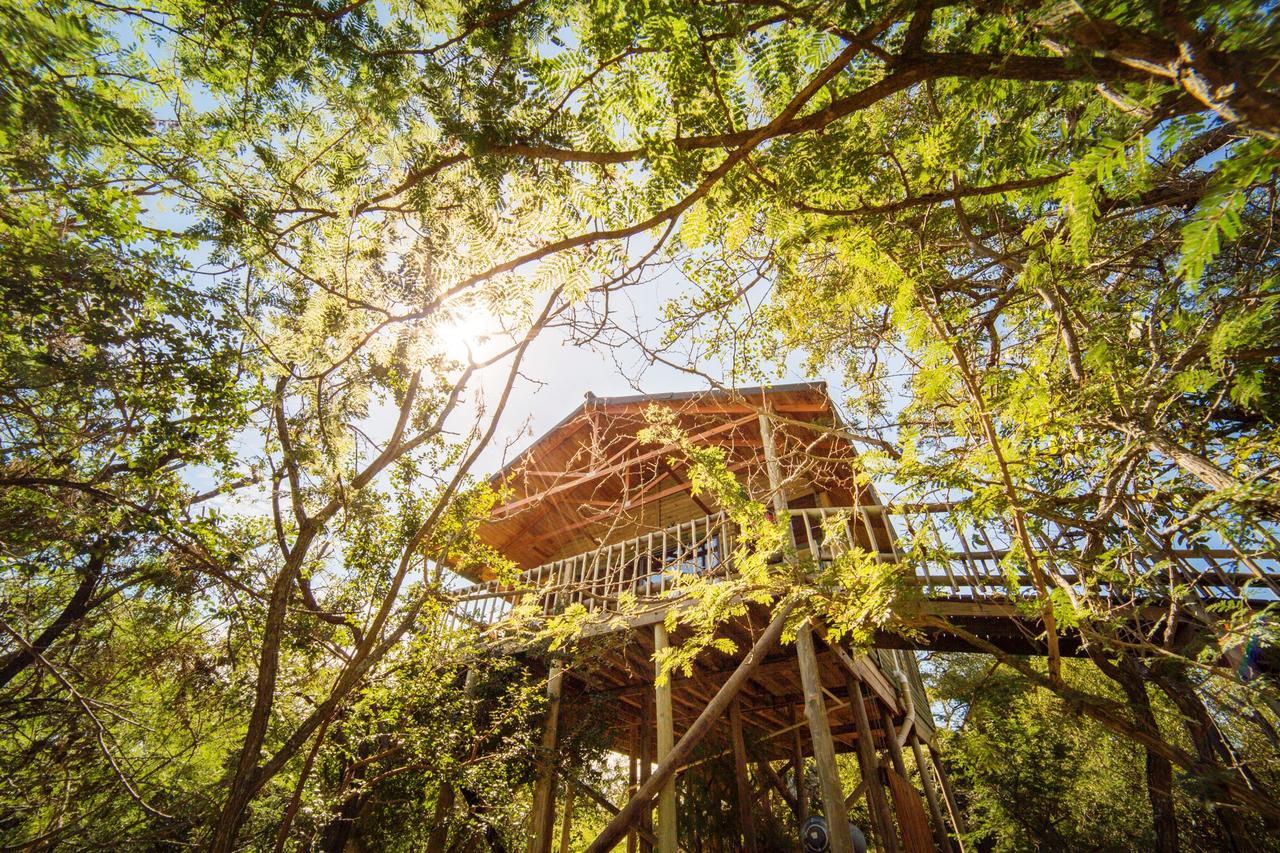 Pezulu Tree House Lodge Hoedspruit Exteriör bild