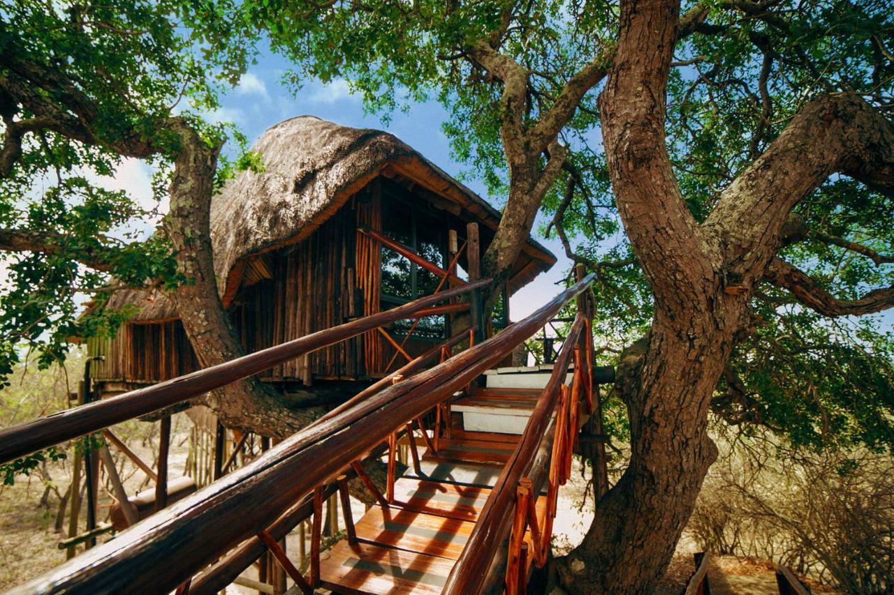 Pezulu Tree House Lodge Hoedspruit Exteriör bild