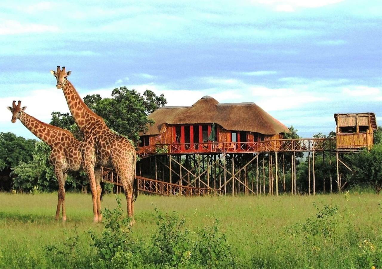 Pezulu Tree House Lodge Hoedspruit Exteriör bild