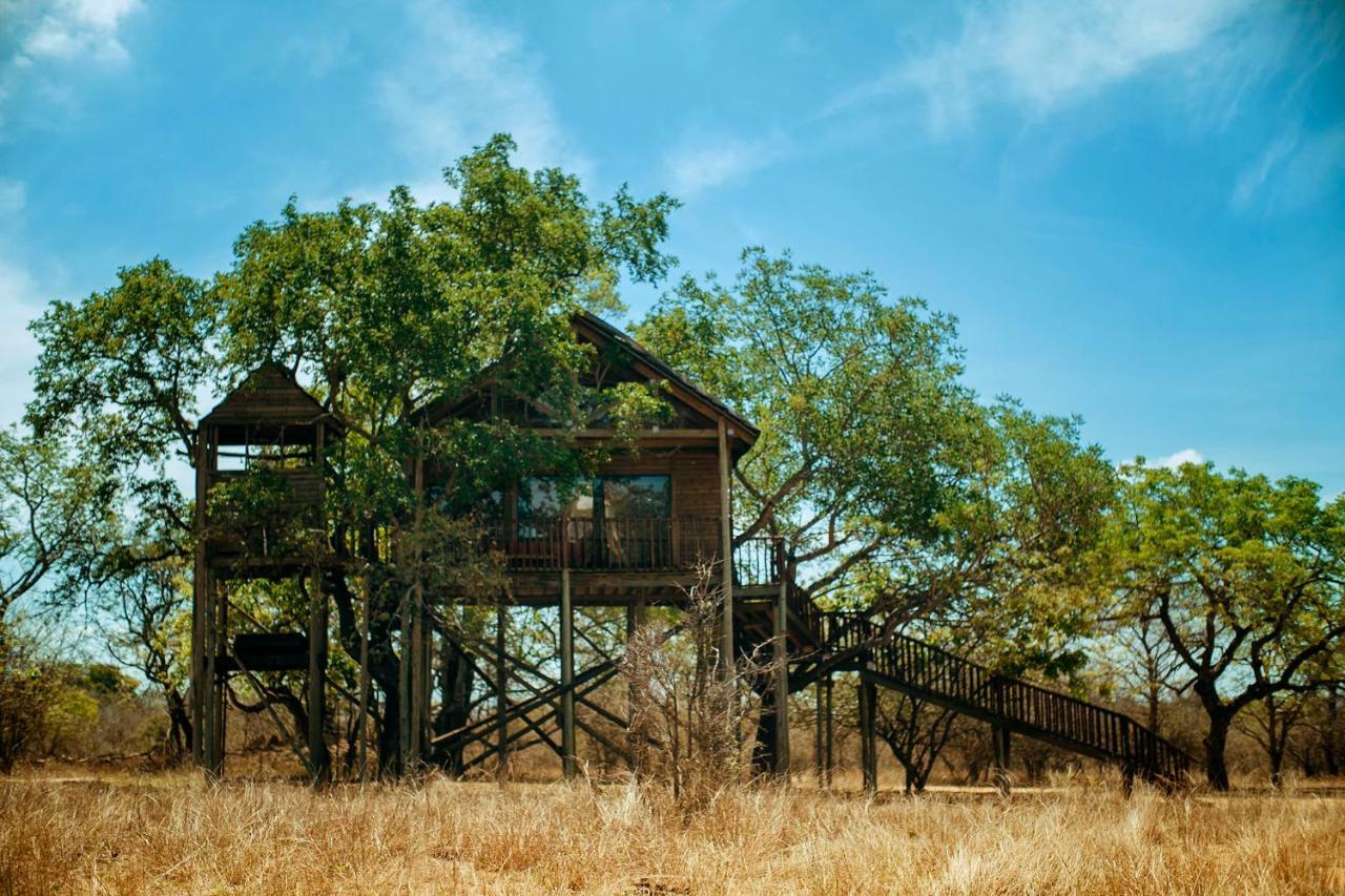 Pezulu Tree House Lodge Hoedspruit Exteriör bild