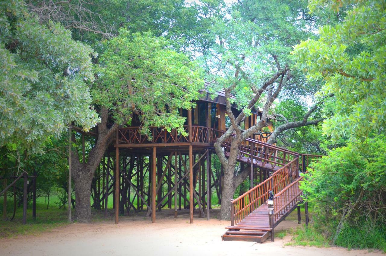 Pezulu Tree House Lodge Hoedspruit Exteriör bild
