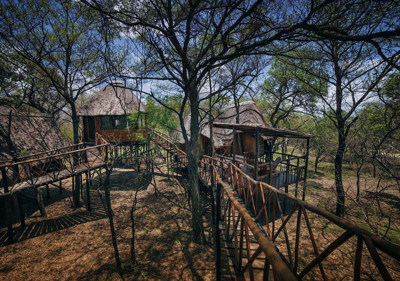 Pezulu Tree House Lodge Hoedspruit Exteriör bild