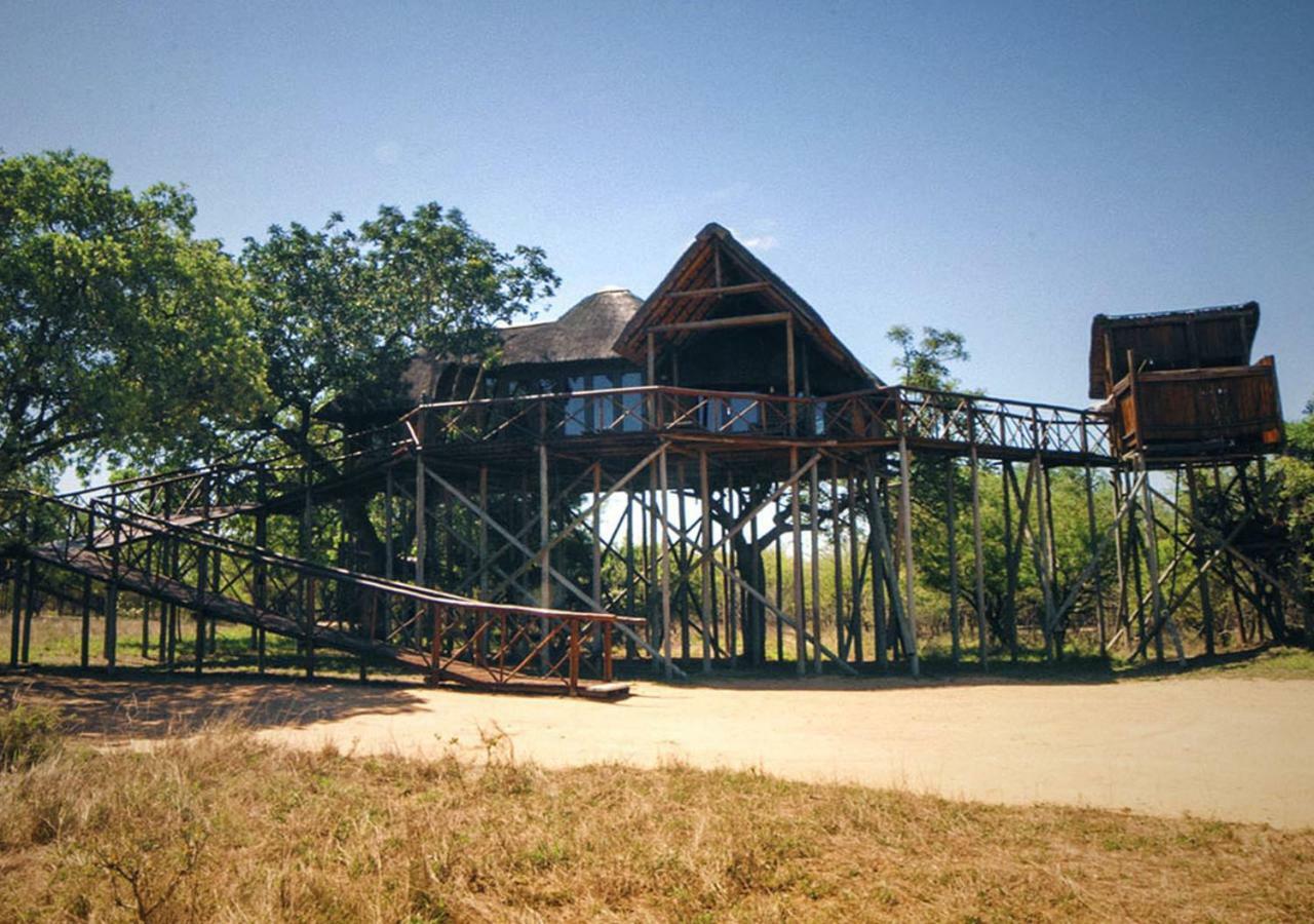 Pezulu Tree House Lodge Hoedspruit Exteriör bild